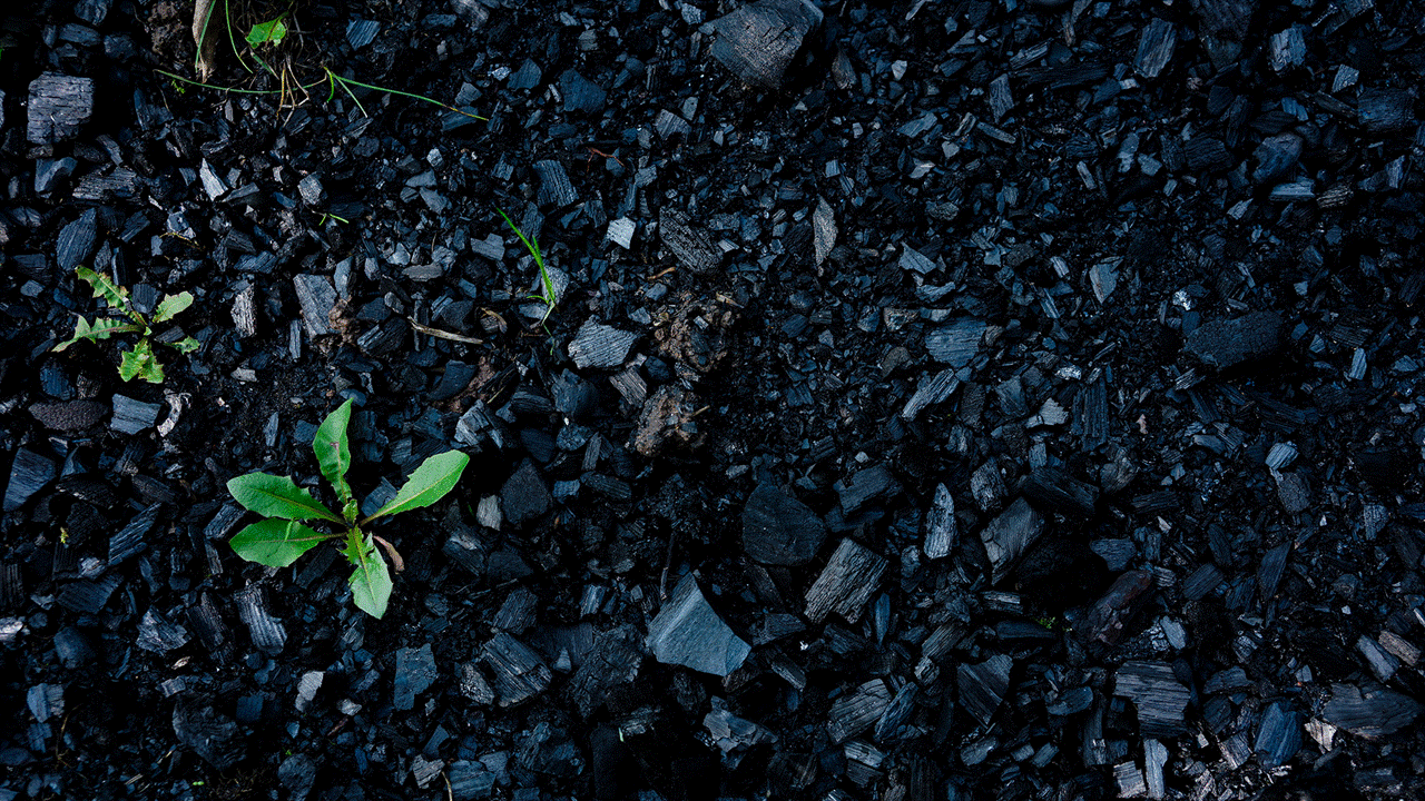 Slide1.GIF