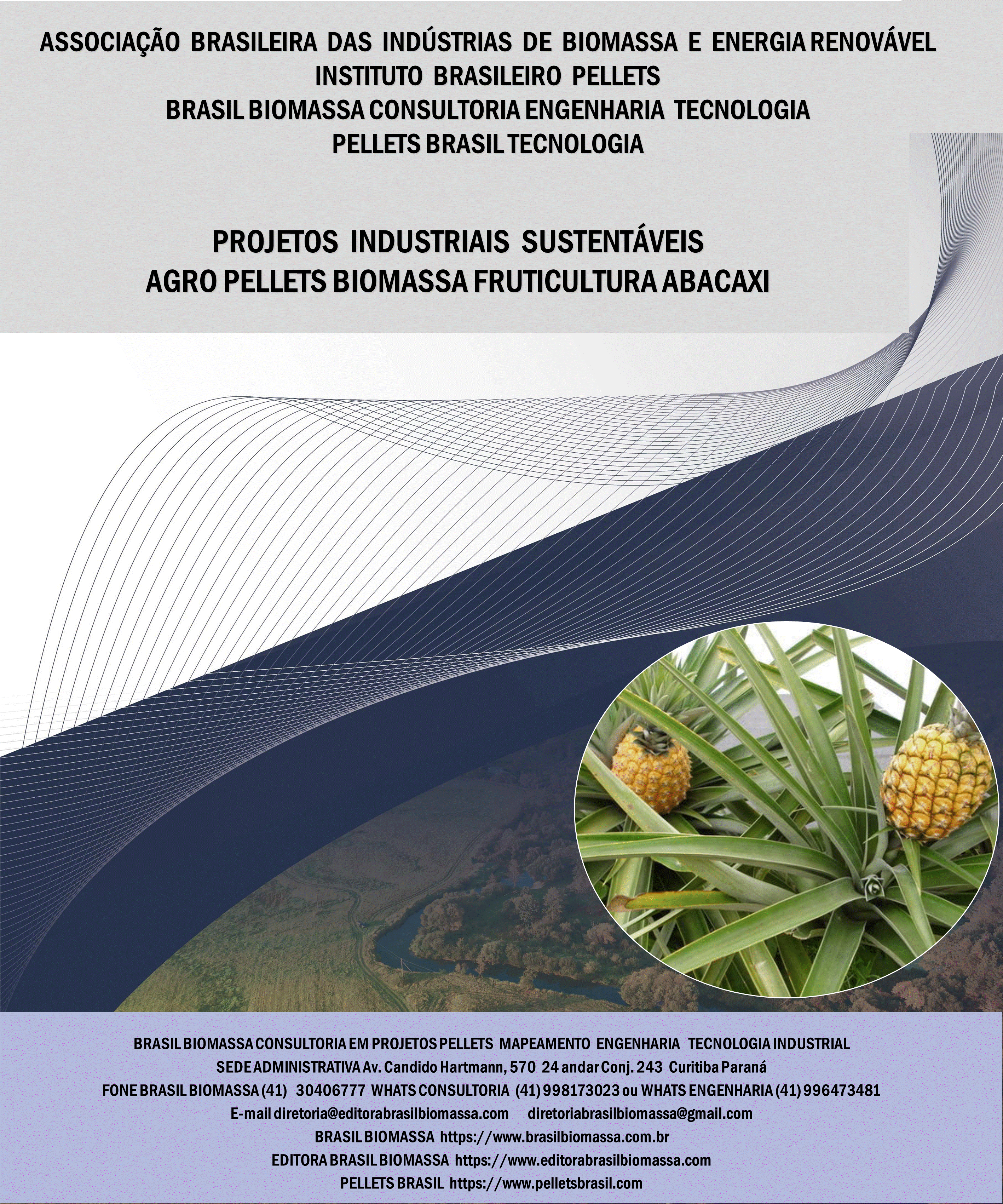 Brasil Biomassa AgroPellets Biomassa Fruticultura Abacaxi.gif