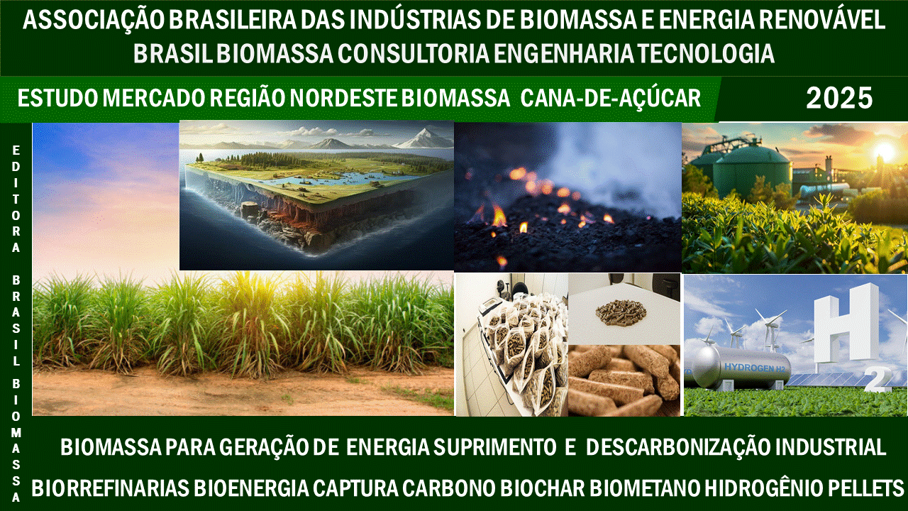 Estudo de Mercado Biomassa Cana-de-açúcar Região Nordeste.gif