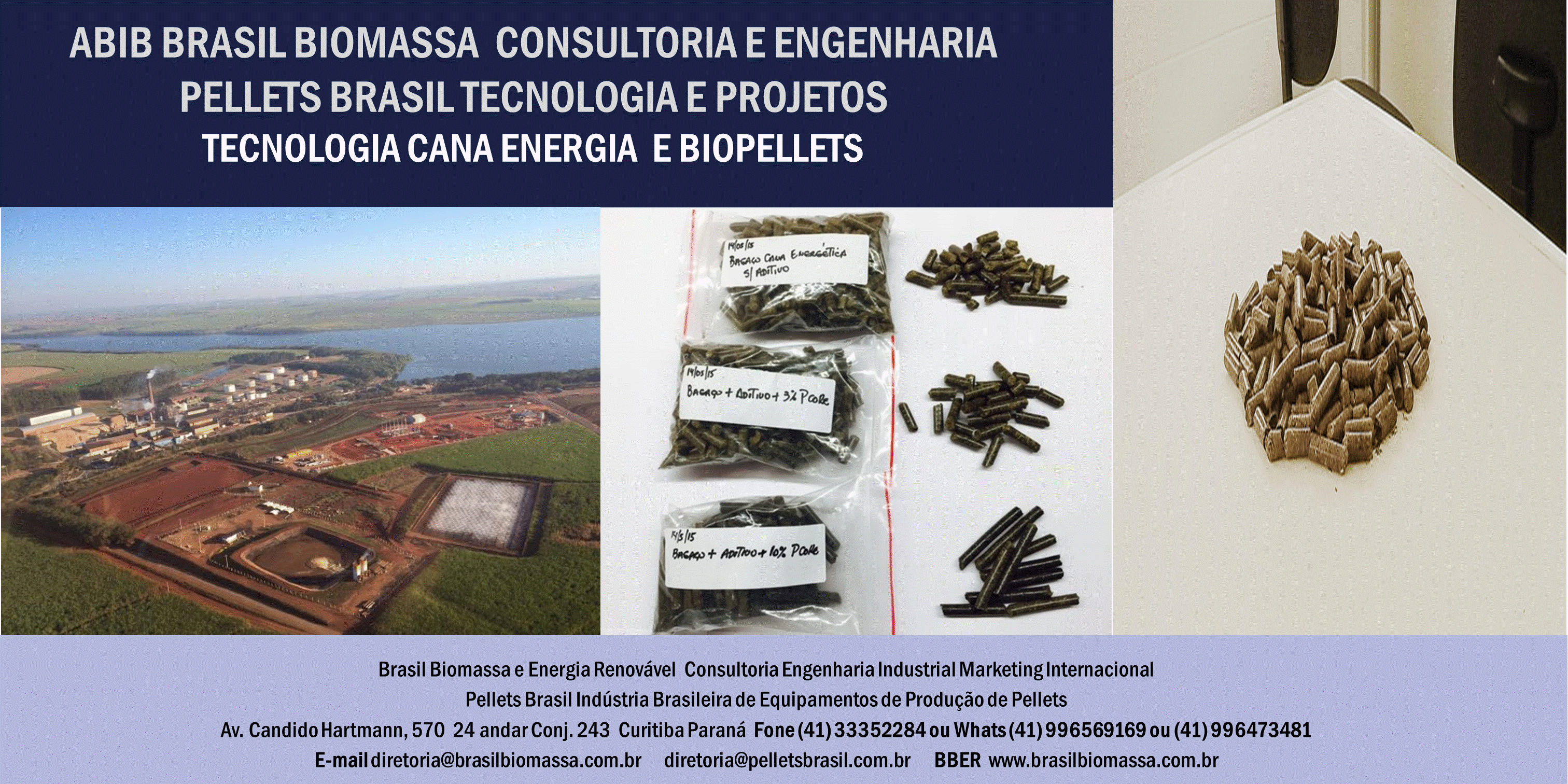 2020 Brasil Biomassa Soluções Energética
