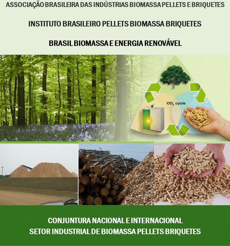 2020 Conjuntura Nacional e Internacional