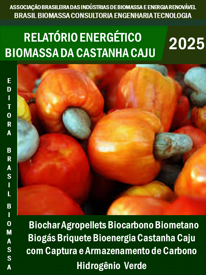 Relatório Energético Biomassa Castanha Caju.gif