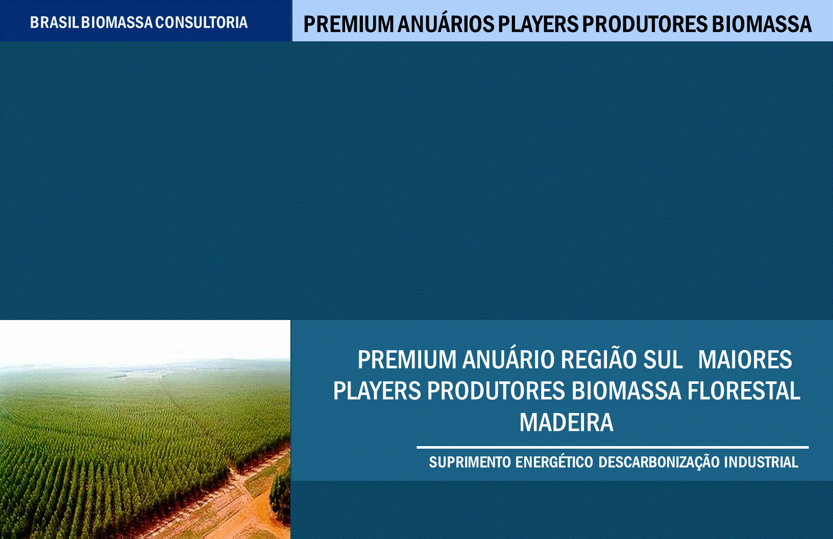 Anuario Premium Players Produtores Biomassa Região Sul.gif