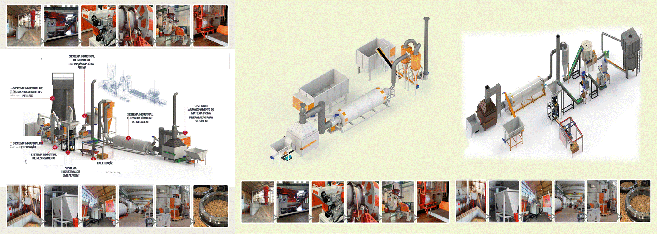 Slide14.GIF