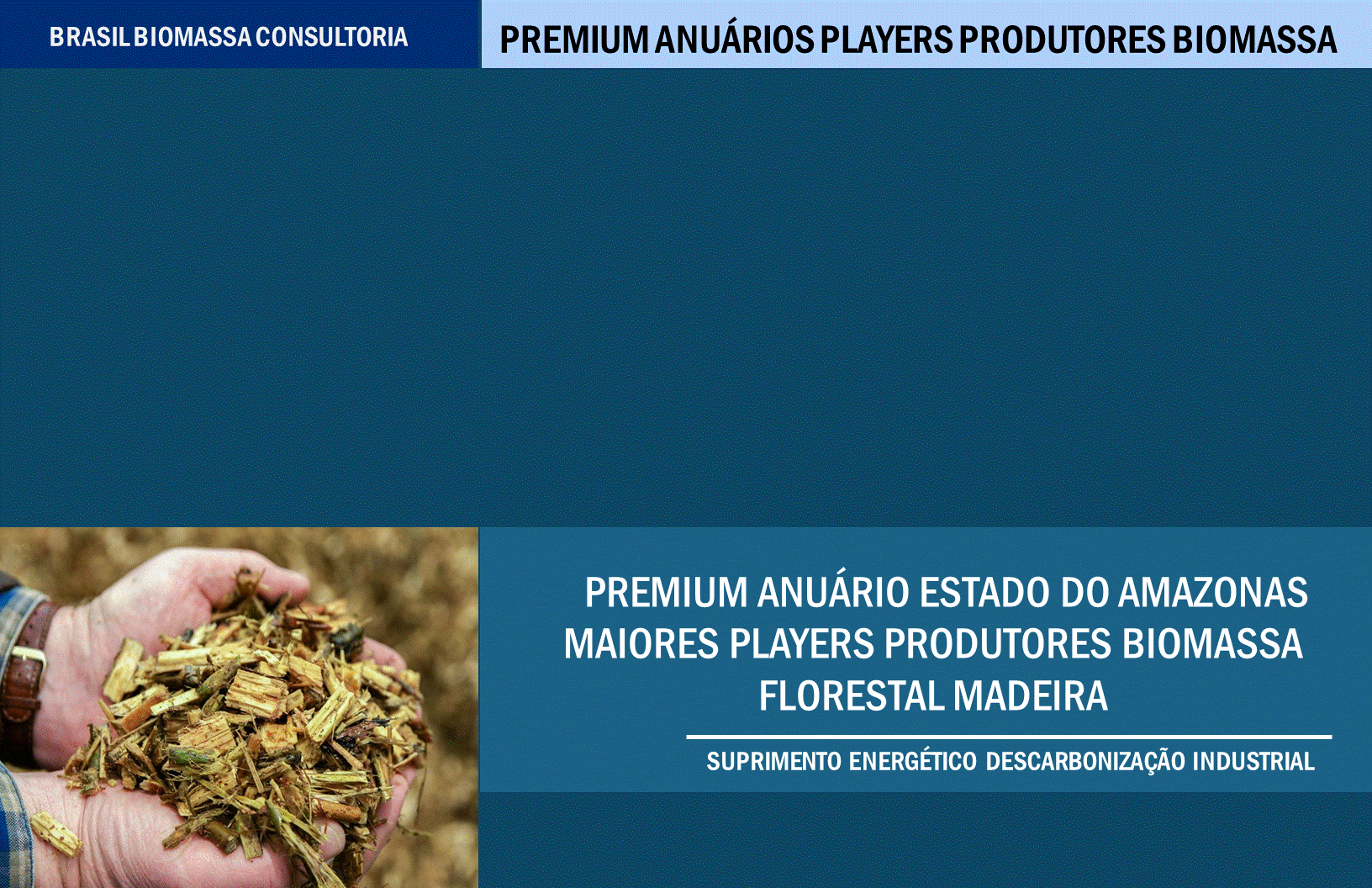 Anuario Premium Players Produtores Biomassa Amazonas.gif