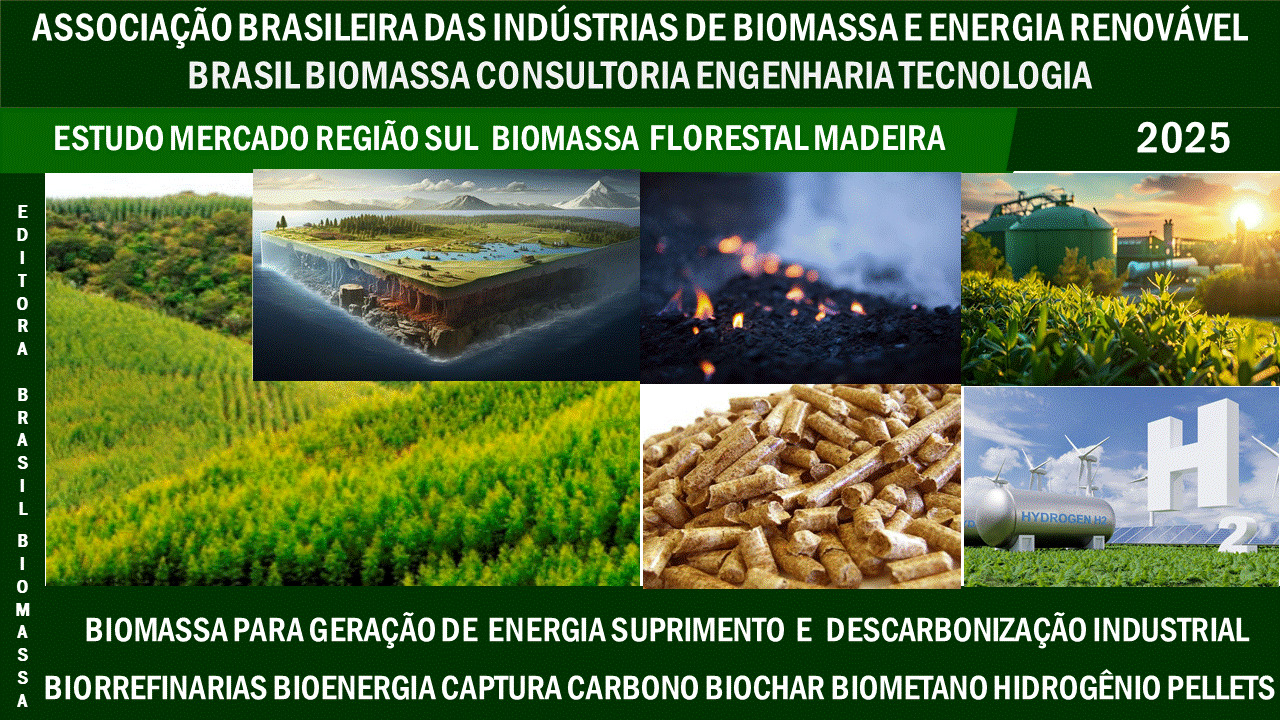 Estudo Brasileiro Biomassa Florestal e Madeira Região Sul.gif