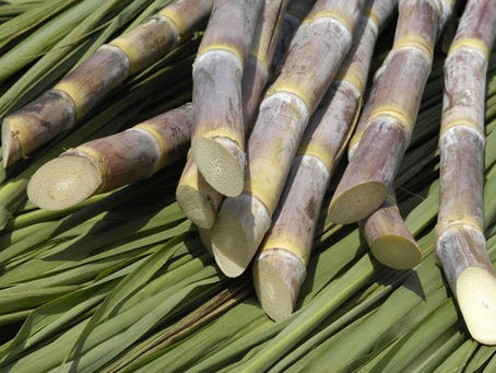 Aproveitamento Biomassa Cana-de-açúcar