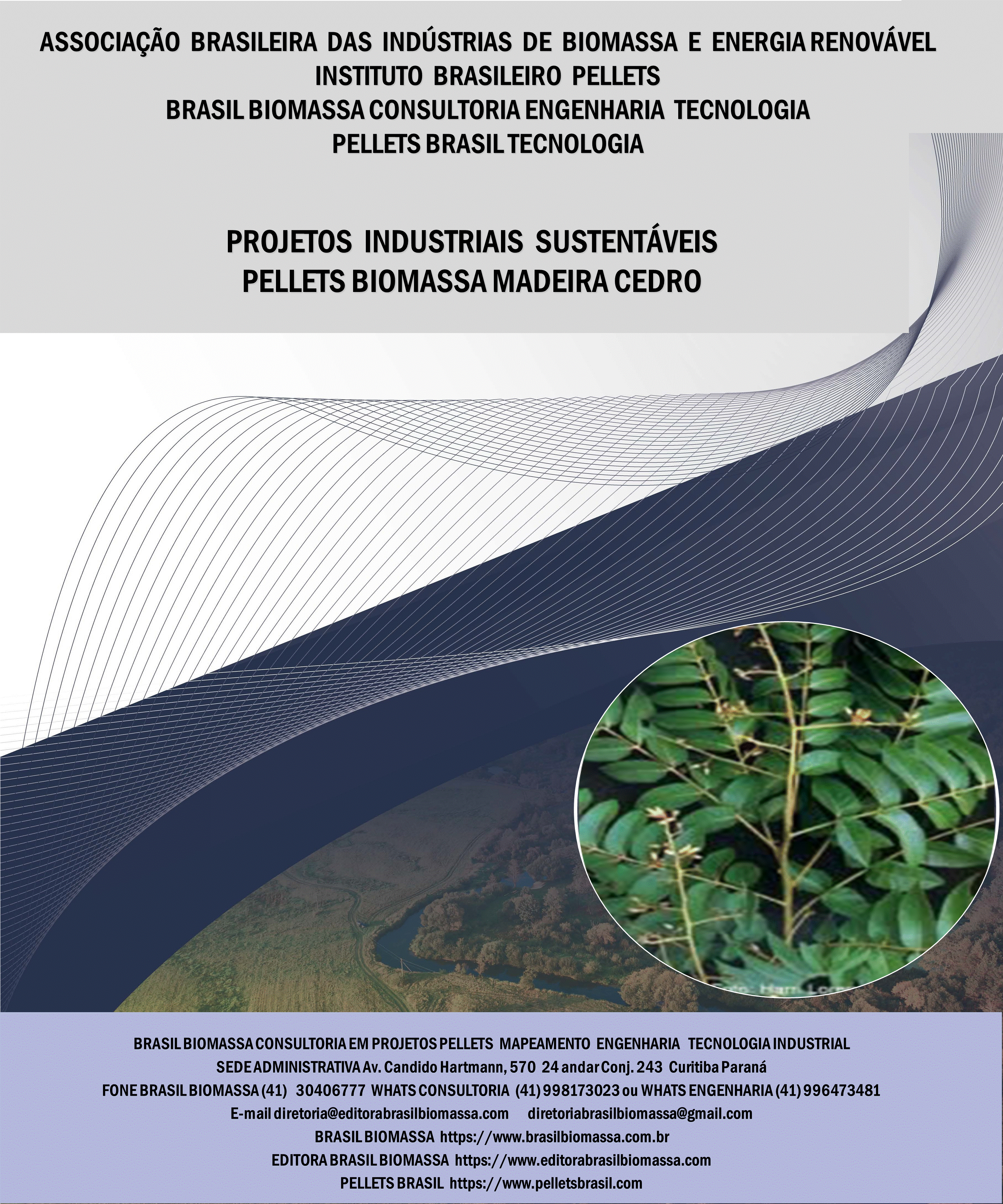 Brasil Biomassa Pellets Madeira Cedro.gif
