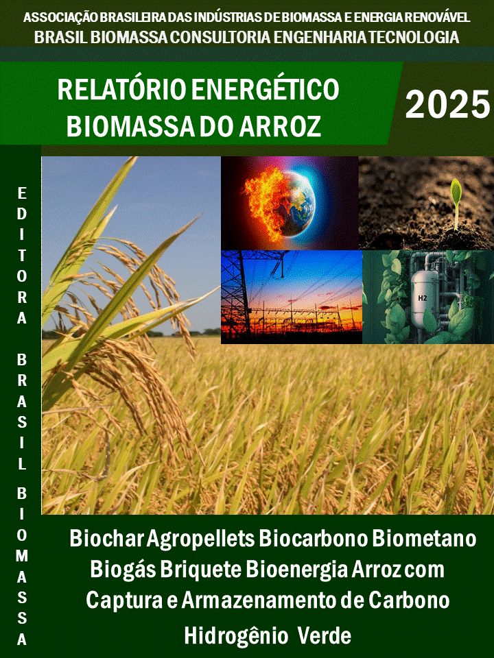 Relatório Energético Biomassa Arroz.gif
