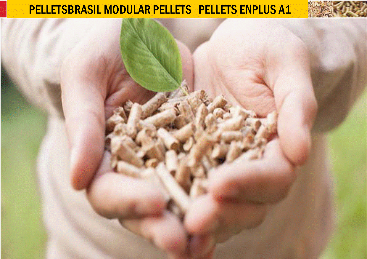 PRODUTO FINAL 3