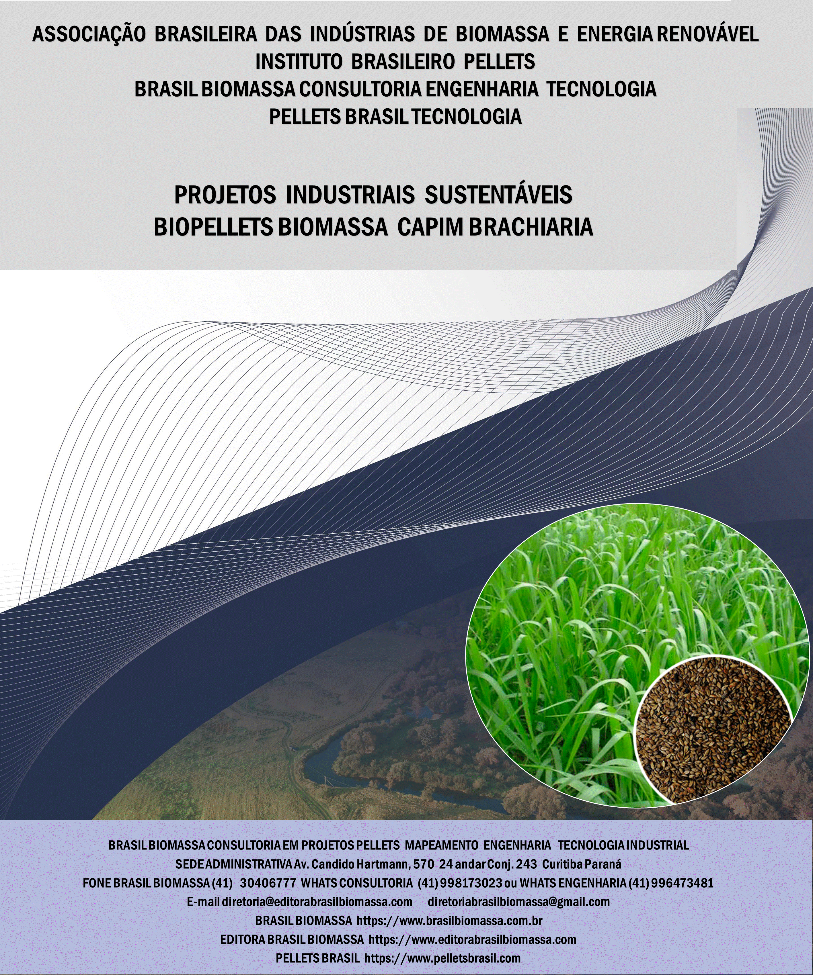 Brasil Biomassa BioPellets Capim Brachiaria.gif