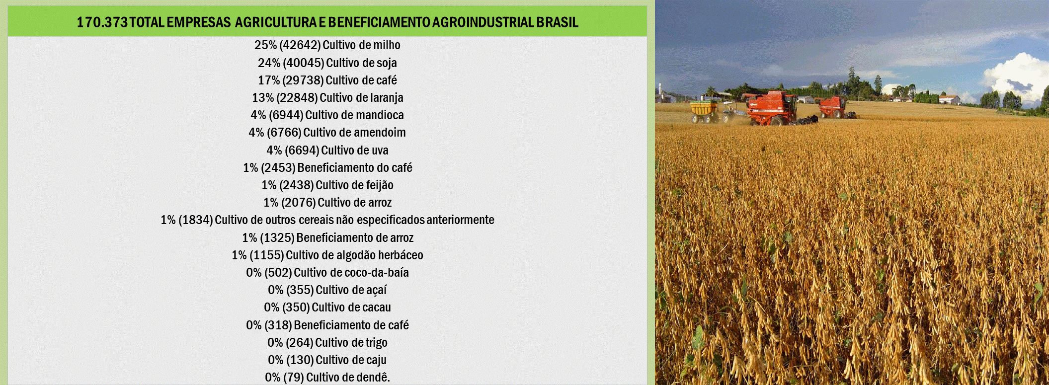 Slide28.GIF