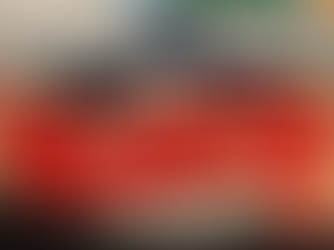 合法擁槍與基本知識:NYFA與美國東北商會聯合舉辦公益講座