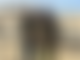 熱血寒冬!紐約槍械射擊協會(NYFA)長島靶場訓練集錦