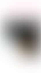 Participation au colloque "Déontologie croisée des magistrats et des avocats", Cour de cassation