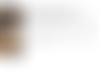 Animation de l'atelier "Perquisitions chez l'avocat", Convention Nationale des Avocats