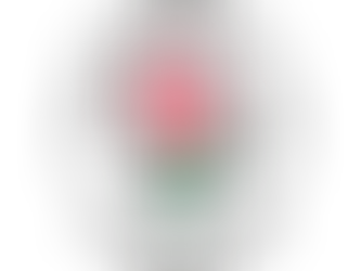 Company sponsors book donation at local school for second year running