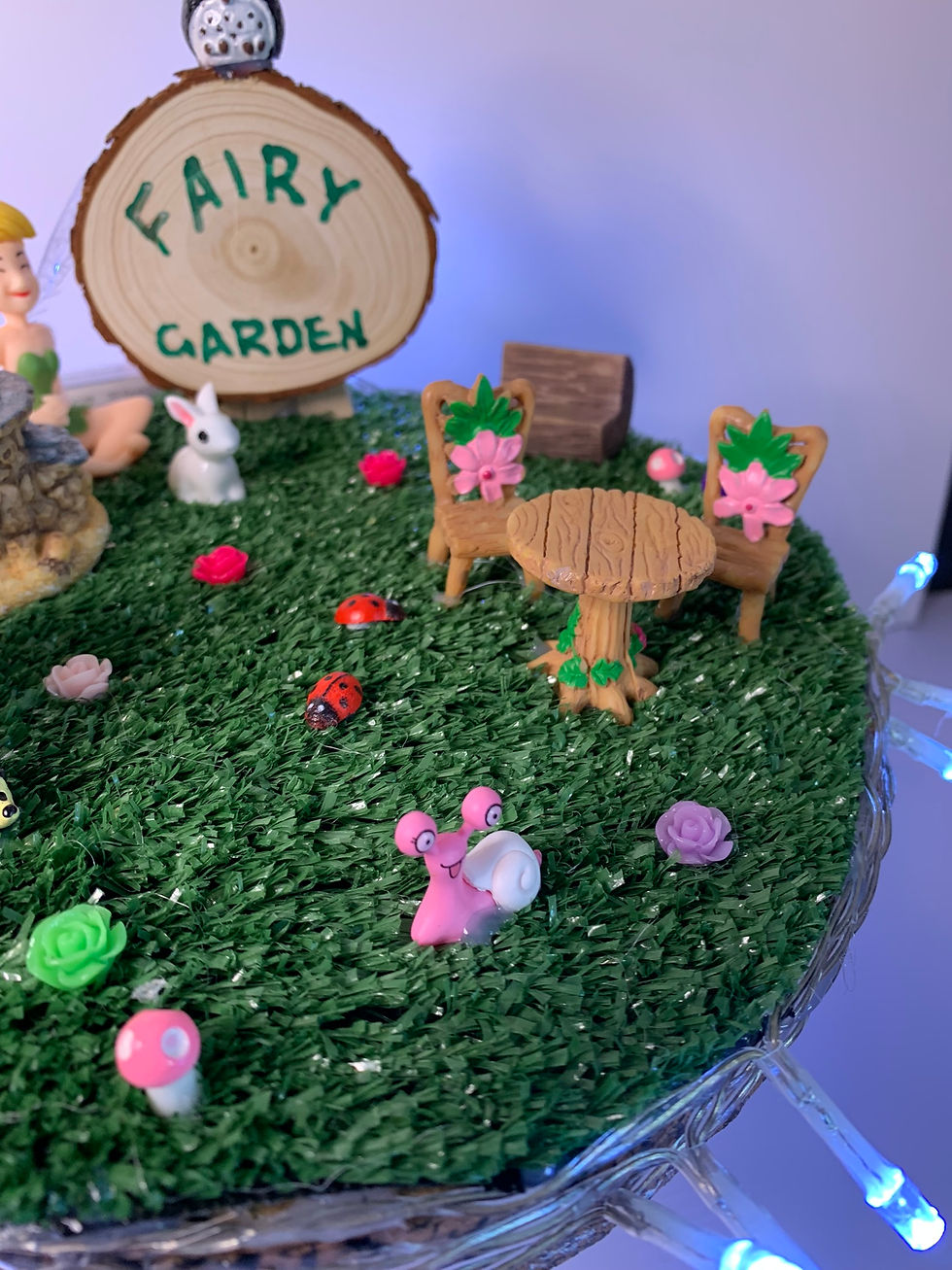 Thumbnail: FAIRY GARDEN