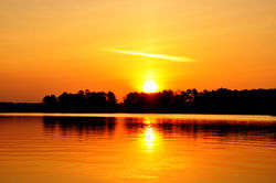 Sunrise Lake Martin ldi WM.jpg