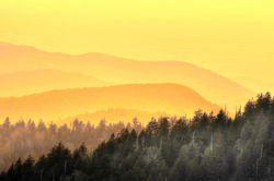 Clingsman Dome ldi WM.jpg