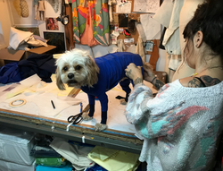 Screen Shot 2019-10-22 at 1.02.00 AM