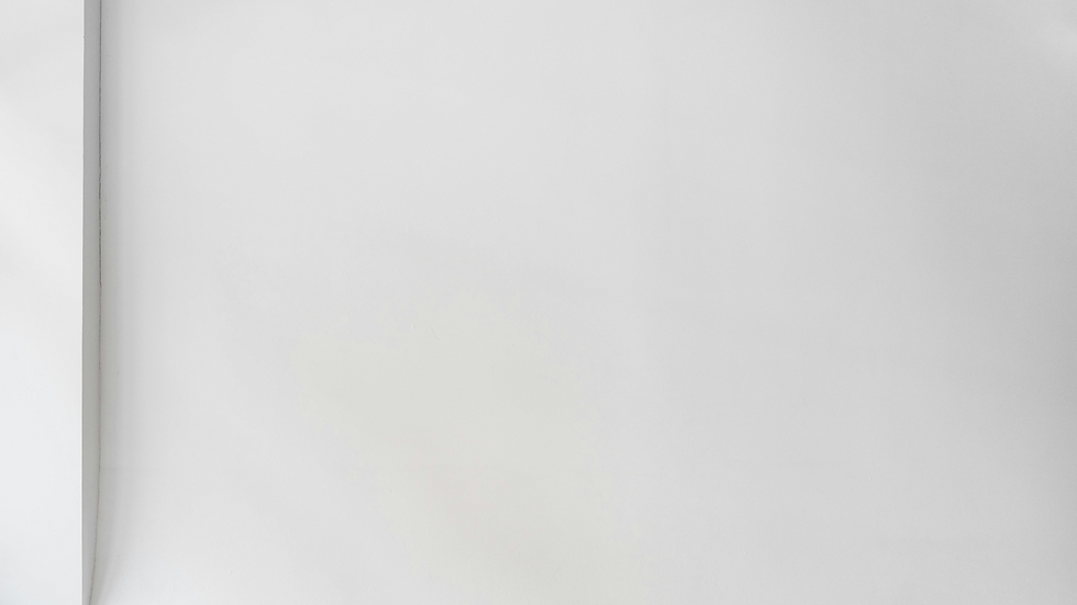 fondo 1.png