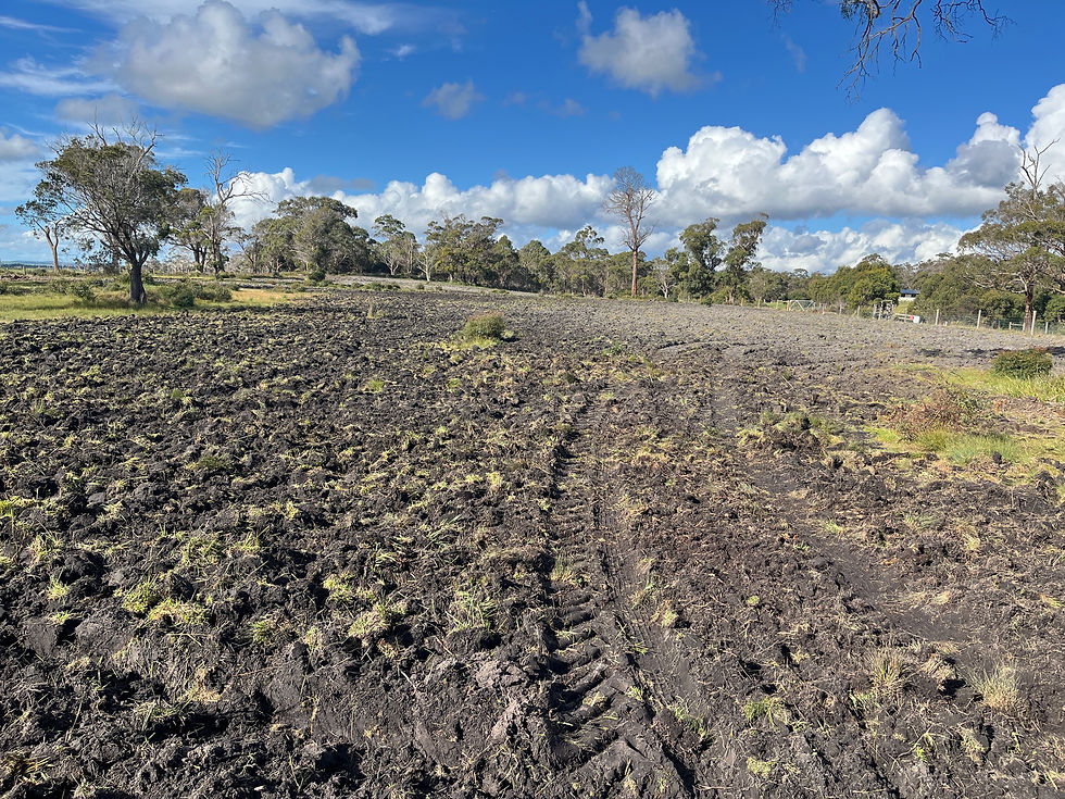 A freshly ploughed top paddock