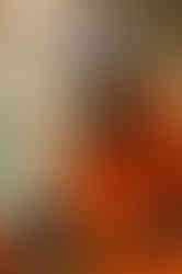 Trace Content Day-052