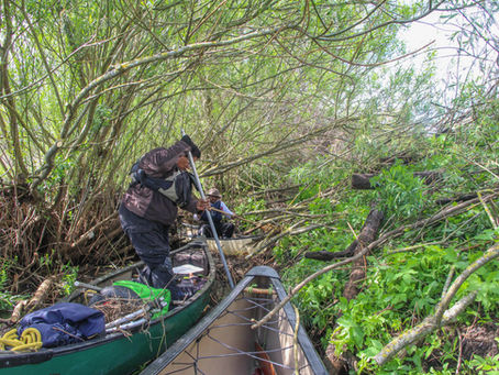 The Jungles of Surrey - the Hoe Stream by canoe