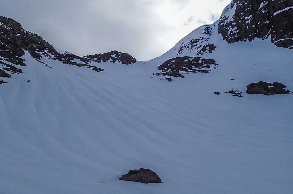 Patterns in the snow