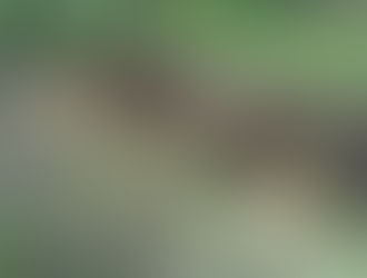 Nouveautés au jardin