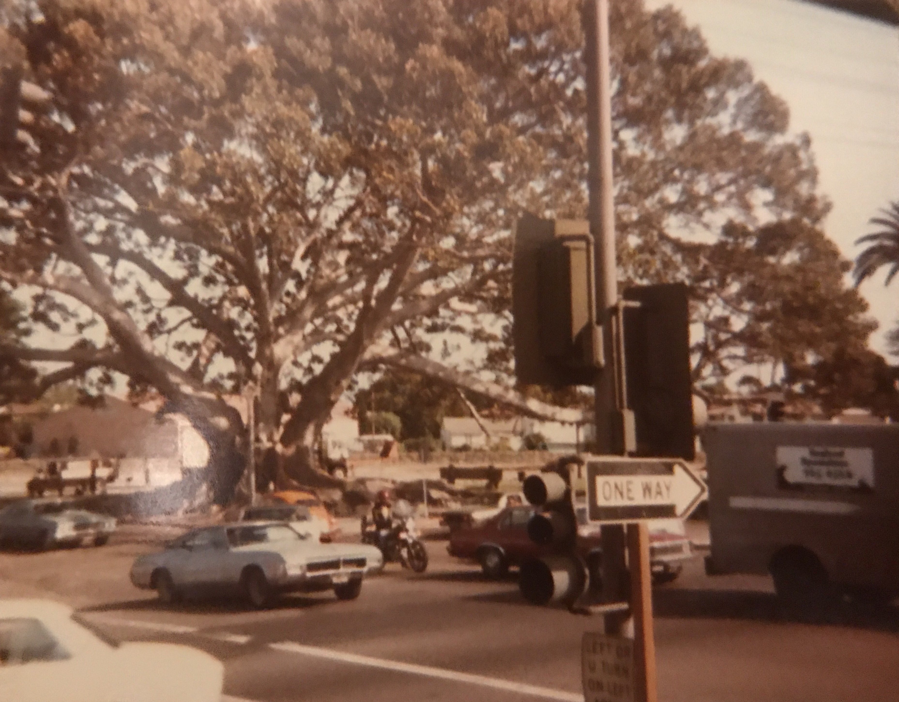 Chapter 33. Summer of '82
