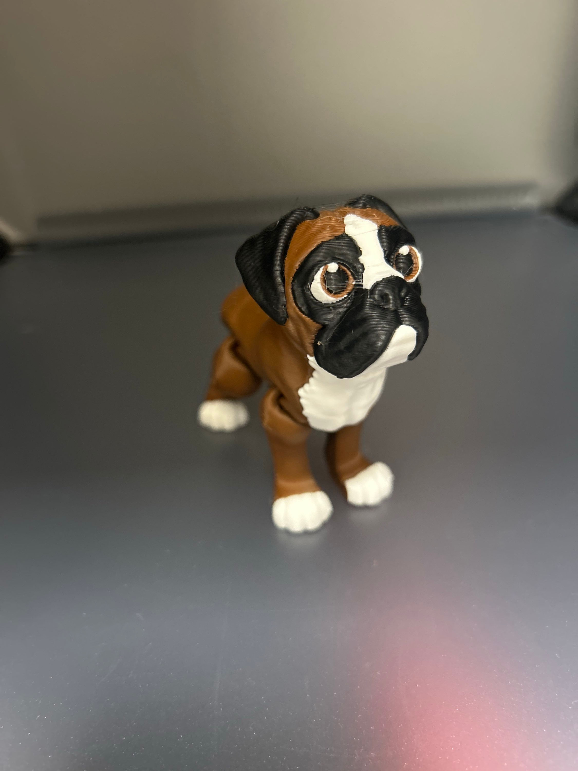 Boxer dog Fidget Toy / Ornament