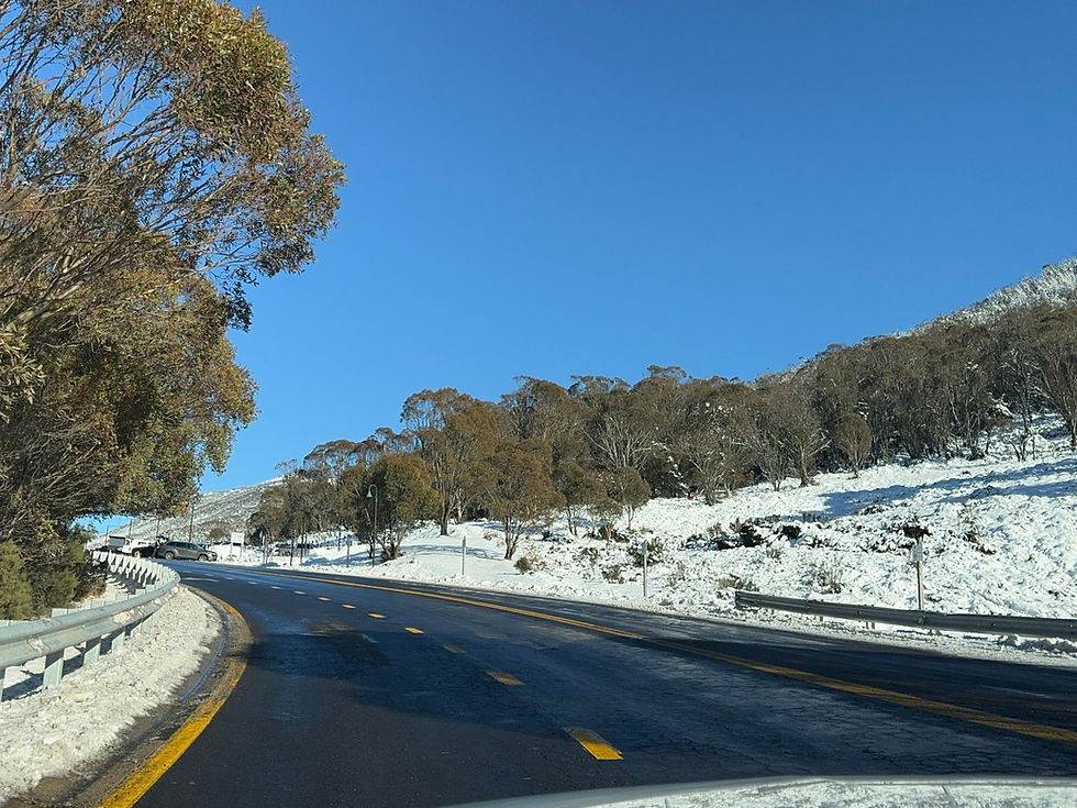 เมื่อวานแอดแม่ไปสัมภาษณ์งานตำแหน่ง Trainer มาครับ