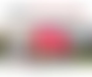 สมัครเรียนที่ Griffith University มีโอกาสได้รับทุนการศึกษาสูงสุดถึง 50%