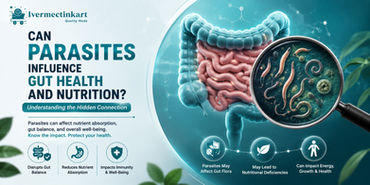 "Medical infographic explaining how parasites affect gut health, digestion, nutrient absorption, and the gut microbiome – Ivermectinkart."