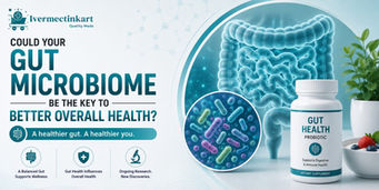 Gut microbiome and digestive health guide | Ivermectinkart