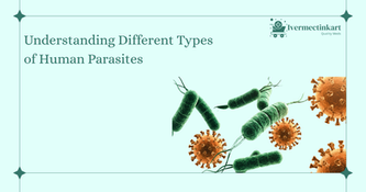 Understanding different types of human parasites and their effects on the body | Ivermectinkart