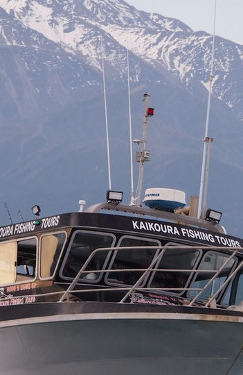1_184_kaikoura-fishing-tours_1594855585__FocusFillWzEyODAsNjAwLCJ5IiwxODBd.jpeg