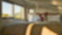 DSC03774.jpeg
