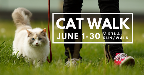 Cat Walk Facebook Event Cover (1).png