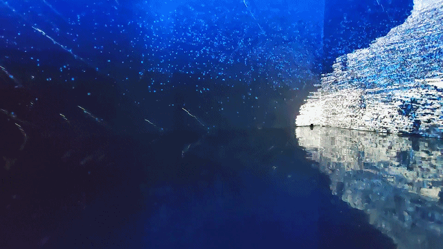IMG_9773.GIF
