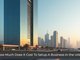 How Much Does It Cost To Setup A Business in the UAE?