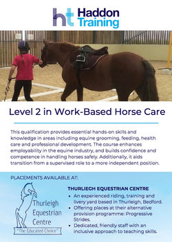 Level 2 Horse Care Flyer _ TEC