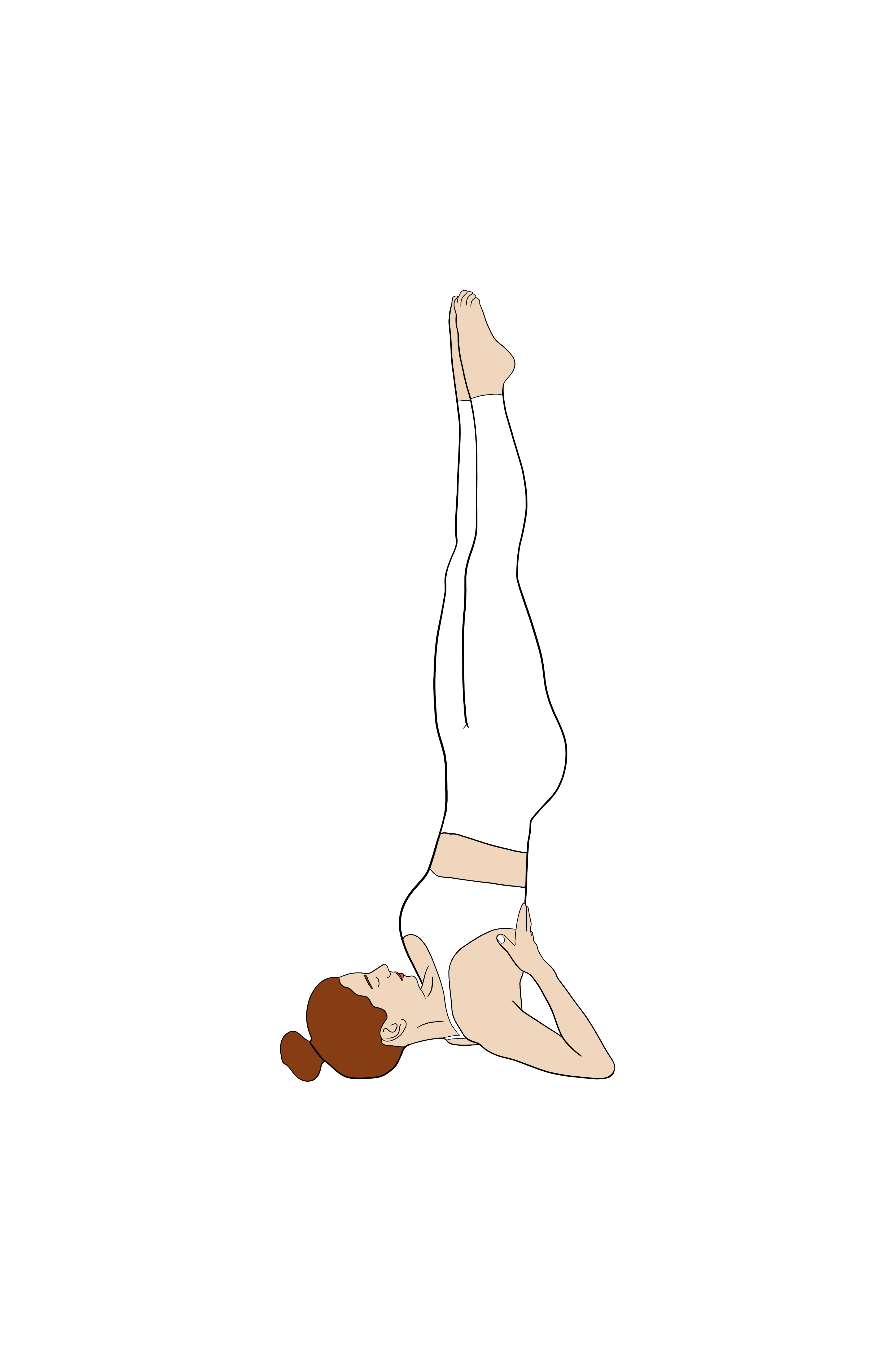 Sarvangasana | Shoulder Stand