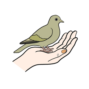 Yoga of Sustainability (The Individual and The Collective) 