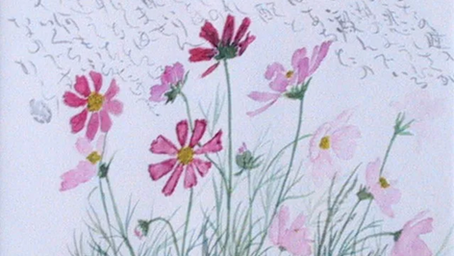 「ははこぐさ43」（秋桜）