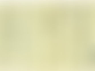 良寛さんの書を読む