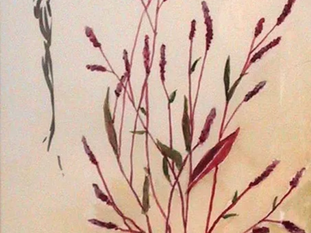 「ははこぐさ51」（タデ）