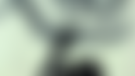 「夢みる岩」（岩）作品185